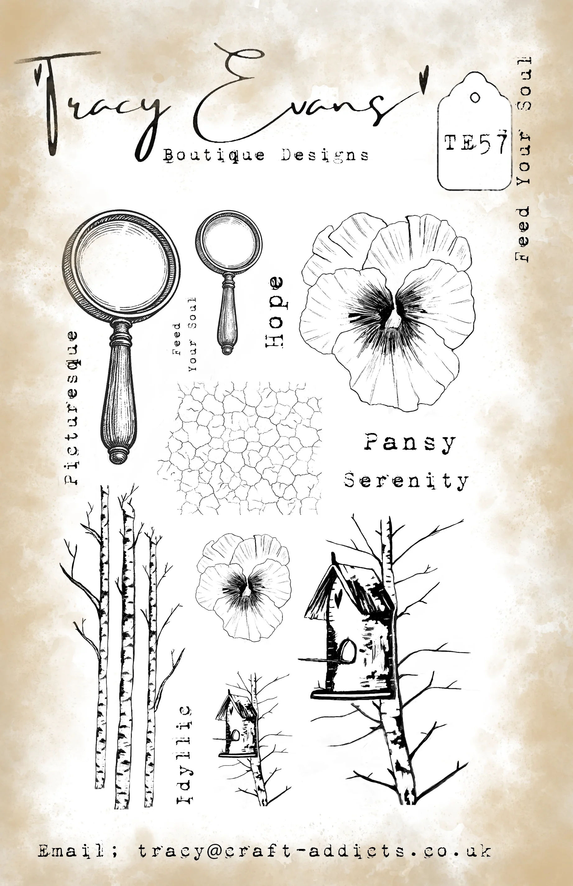 Die Schönheit einer Blume Meta – Candle Making Books Bewertung und Preis